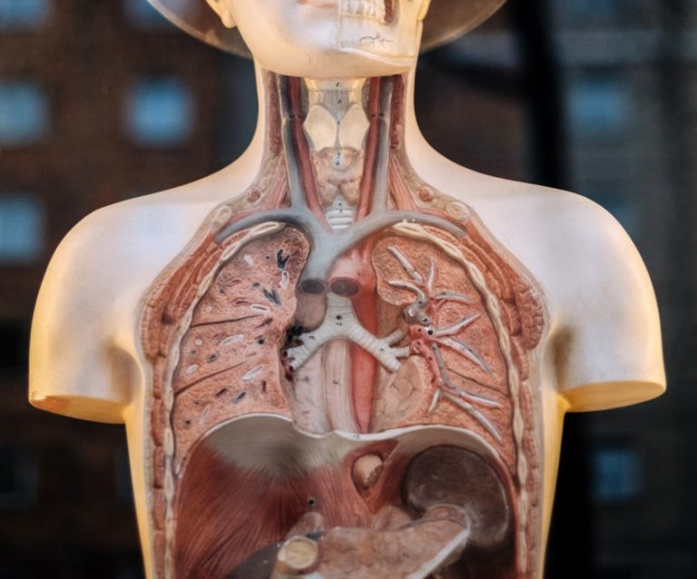 UNA TERAPIA BIOLÓGICA AUMENTA UN AÑO LA SUPERVIVENCIA EN CÁNCER DE PULMÓN
