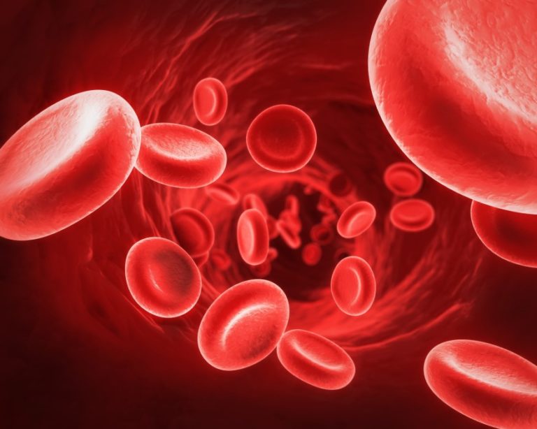 ¿Cuáles son los tipos de leucemia que existen?