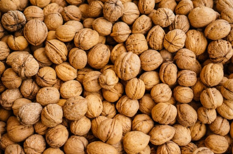 Las nueces: aliadas de la salud cardiovascular